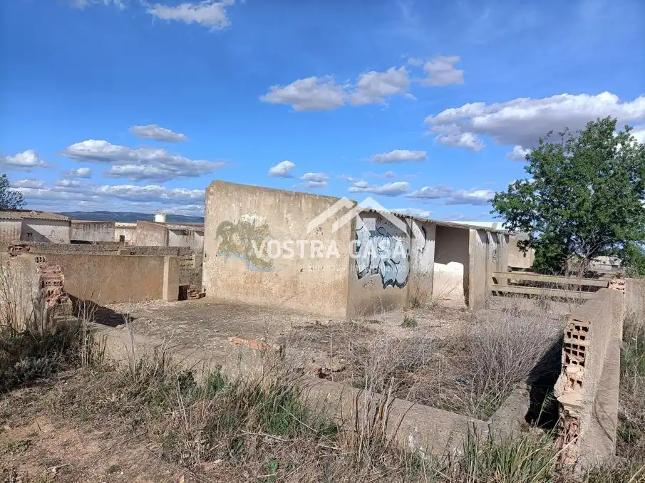 Terreny rústic en venda a PARAJE DE LA CERCA, imagen 9
