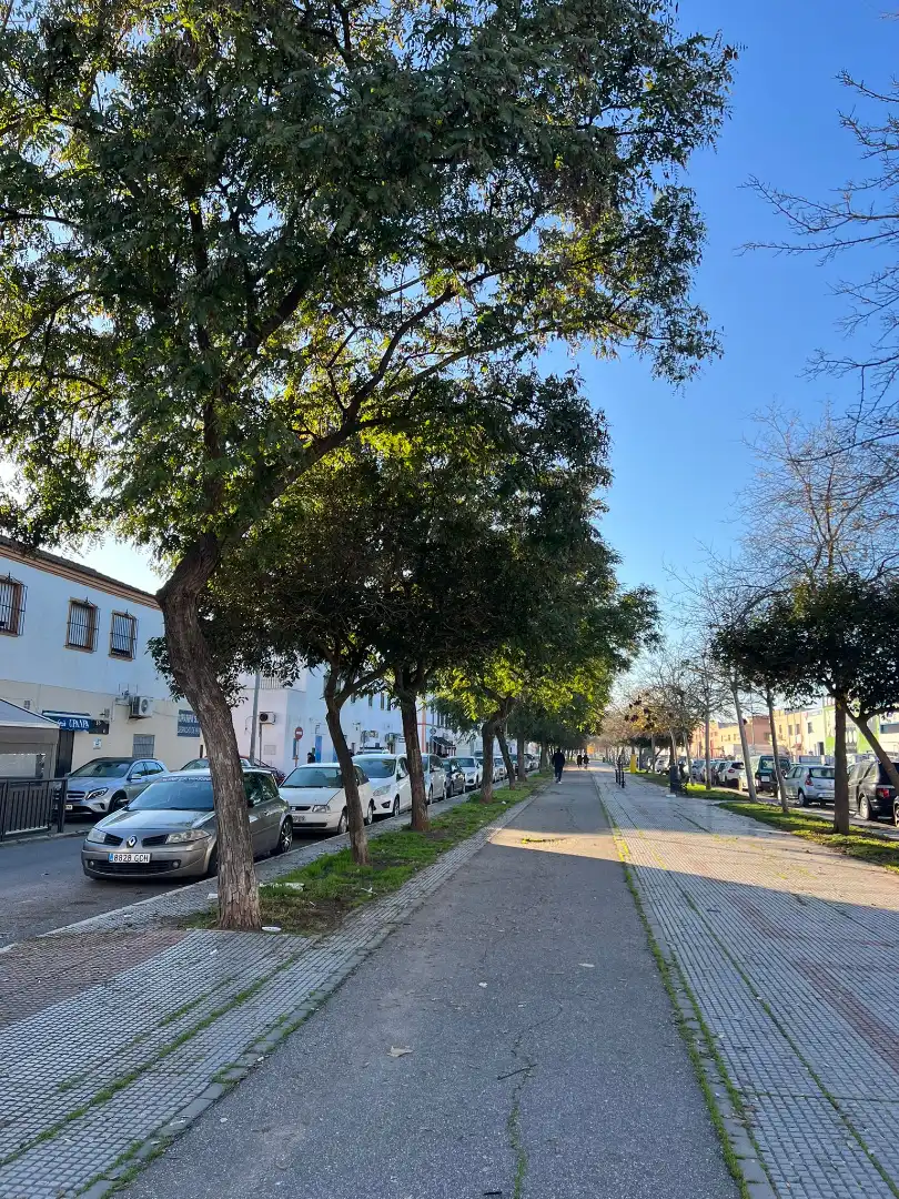 Vista exterior de Local en venta en Los Palacios y Villafranca