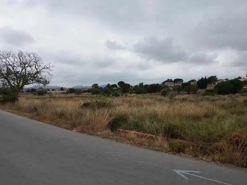 Land for sale in La Pobla de Vallbona