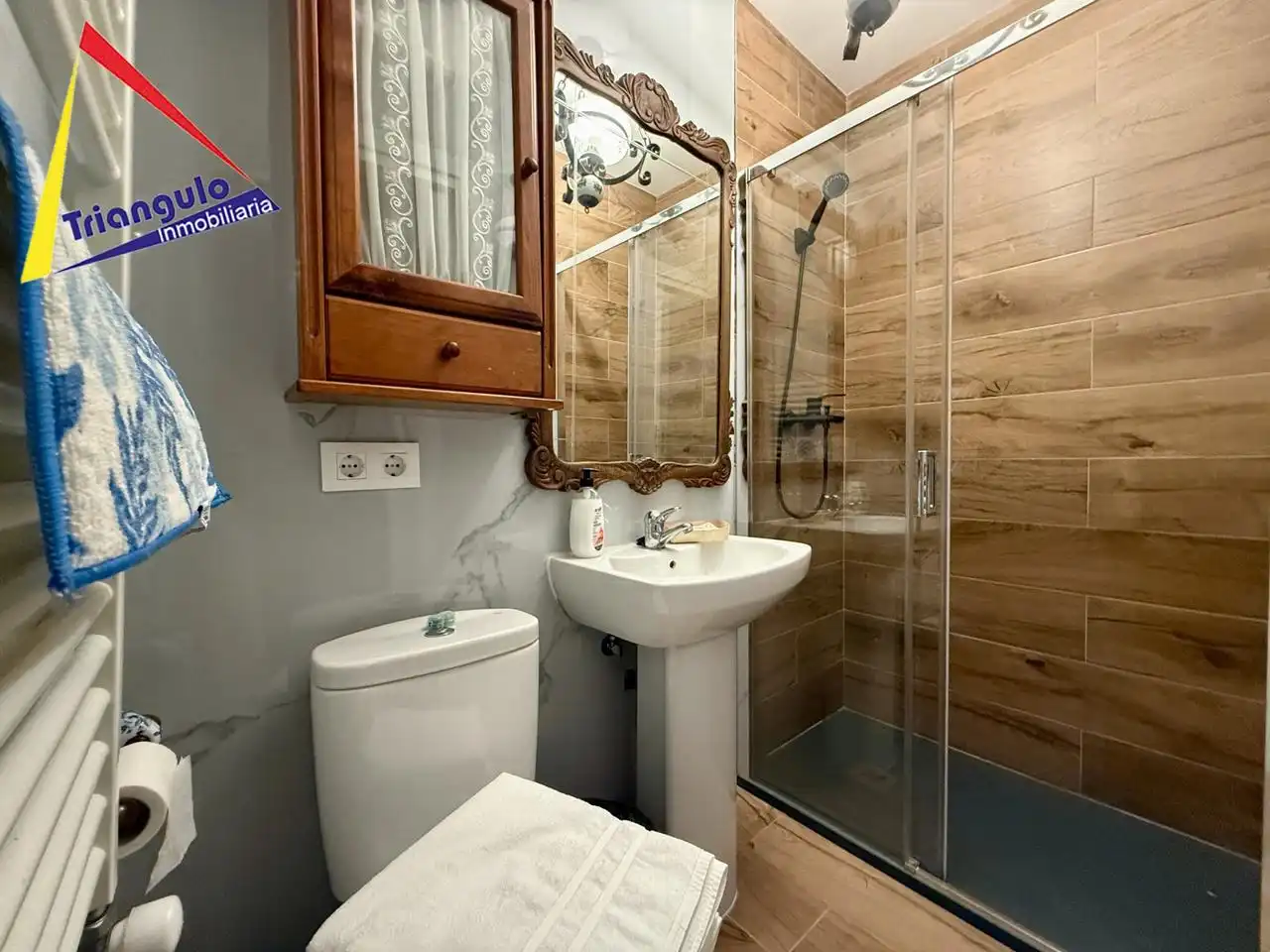 Baño de Casa o chalet de alquiler en Segovia con Terraza