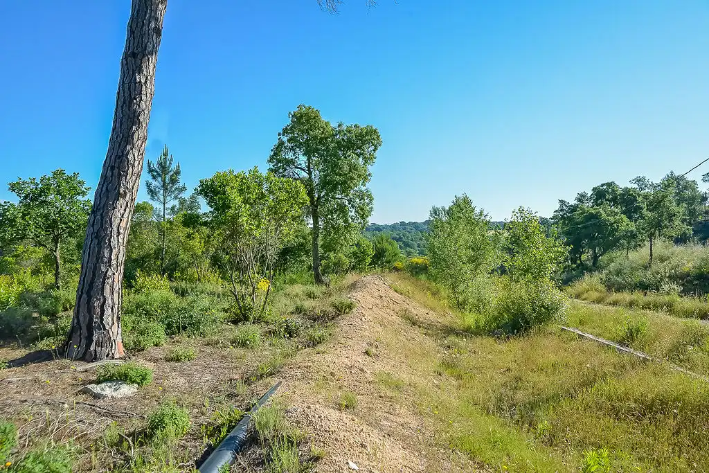 Terreno rústico en venta en Av de la Selva, imagen 17