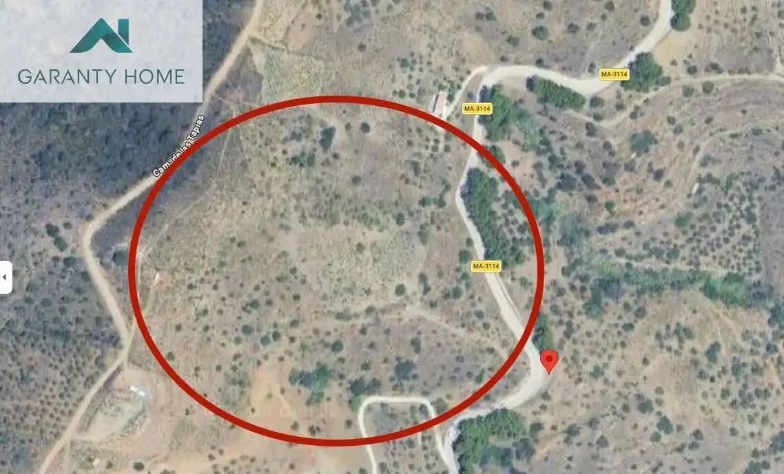 Rustikales Grundstück zum Verkauf in Carretera Carretera Almachar, imagen 6