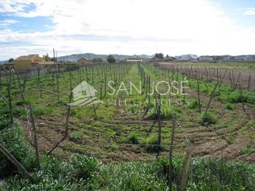 Terreno rustico in vendita a Aspe Centro