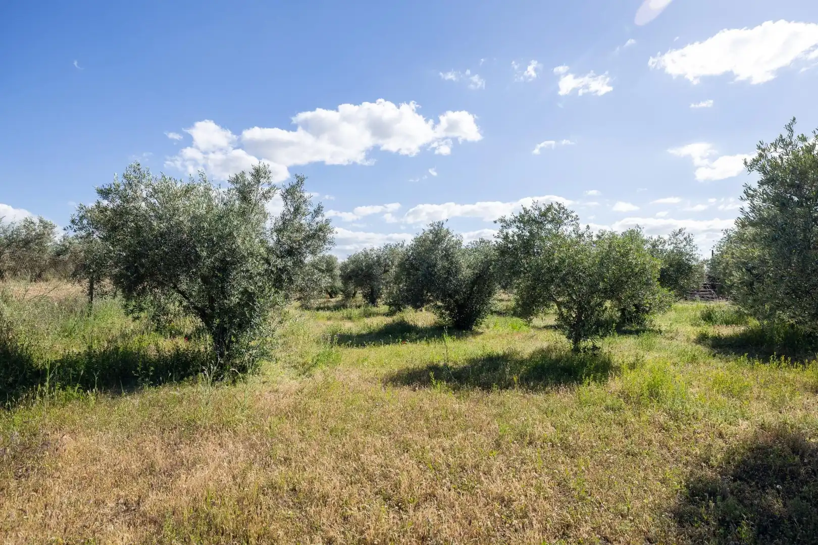 Rural land for sale in Polígono 3 Parcela 220 Arnique, imagen 27
