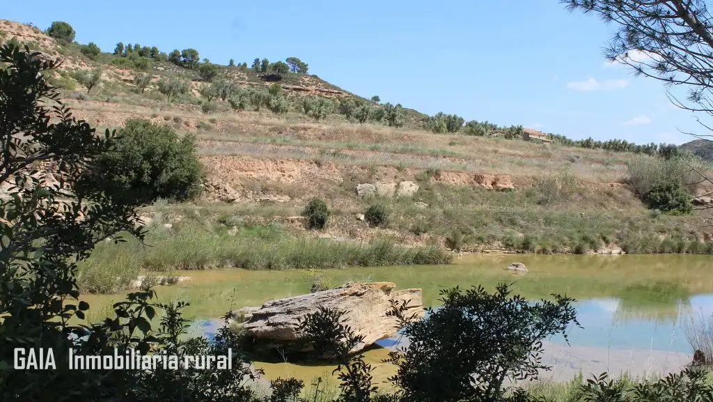 Country homes for sale in Fabara