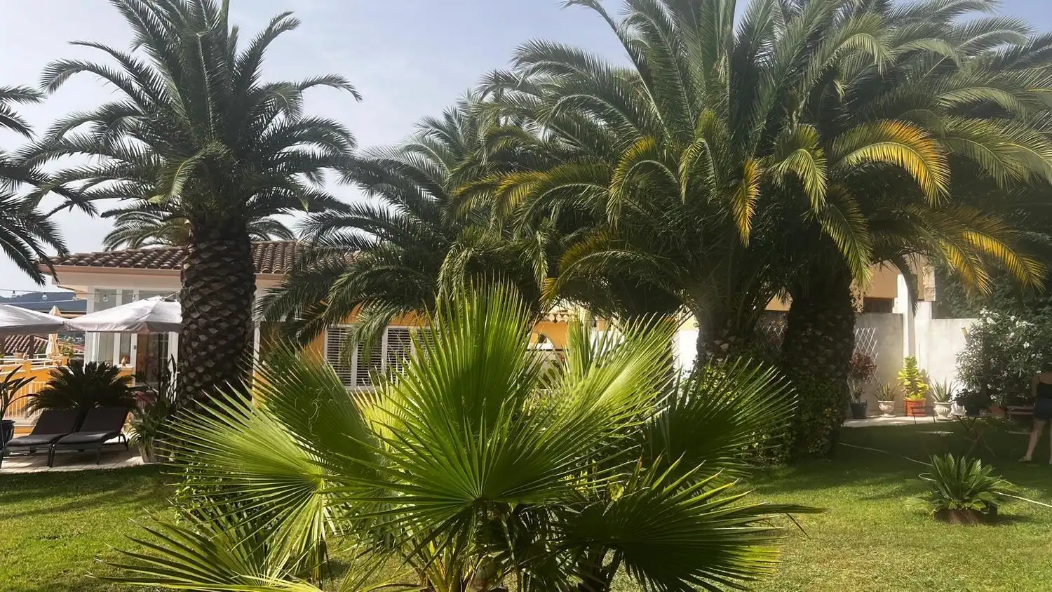 Detached house with garden for sale in Calle dels Joncs, imagen 8