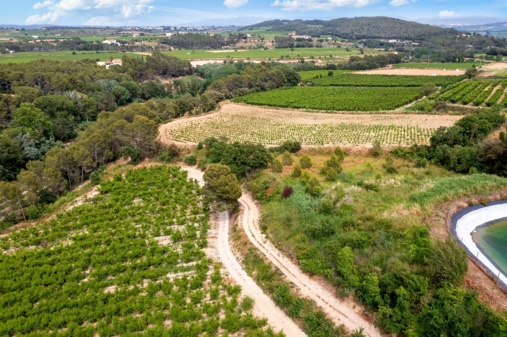 Casa rústica amb piscina en venda a Carrer de la Serra de Dalt 15, imagen 11