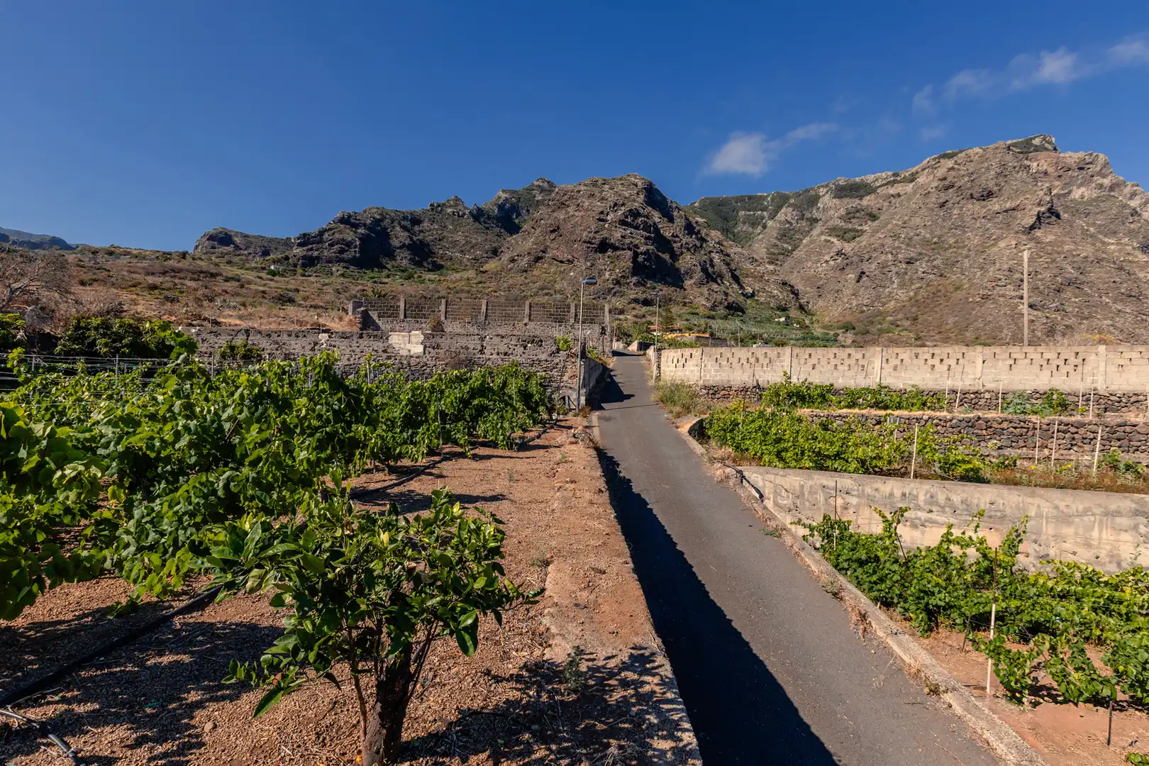 Vista exterior de Finca rústica en venta en Buenavista del Norte con Jardín privado, Terraza y Balcón