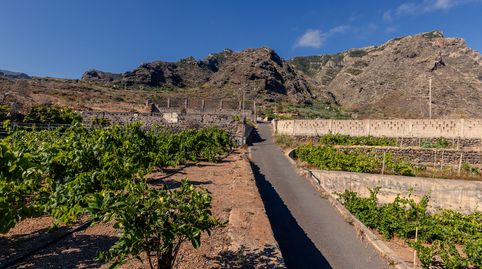 Foto 4 de Finca rústica en venta en Buenavista del Norte, Santa Cruz de Tenerife