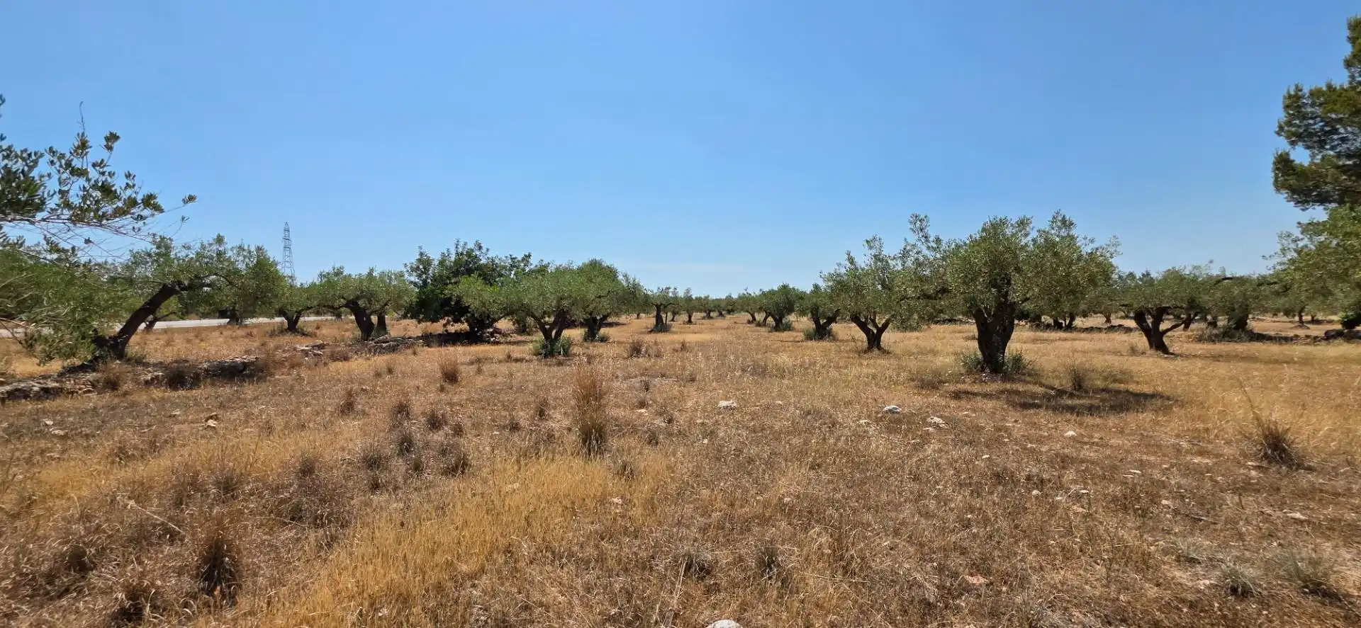 Maison rustique à vendre à L'Ametlla de Mar pueblo, imagen 25