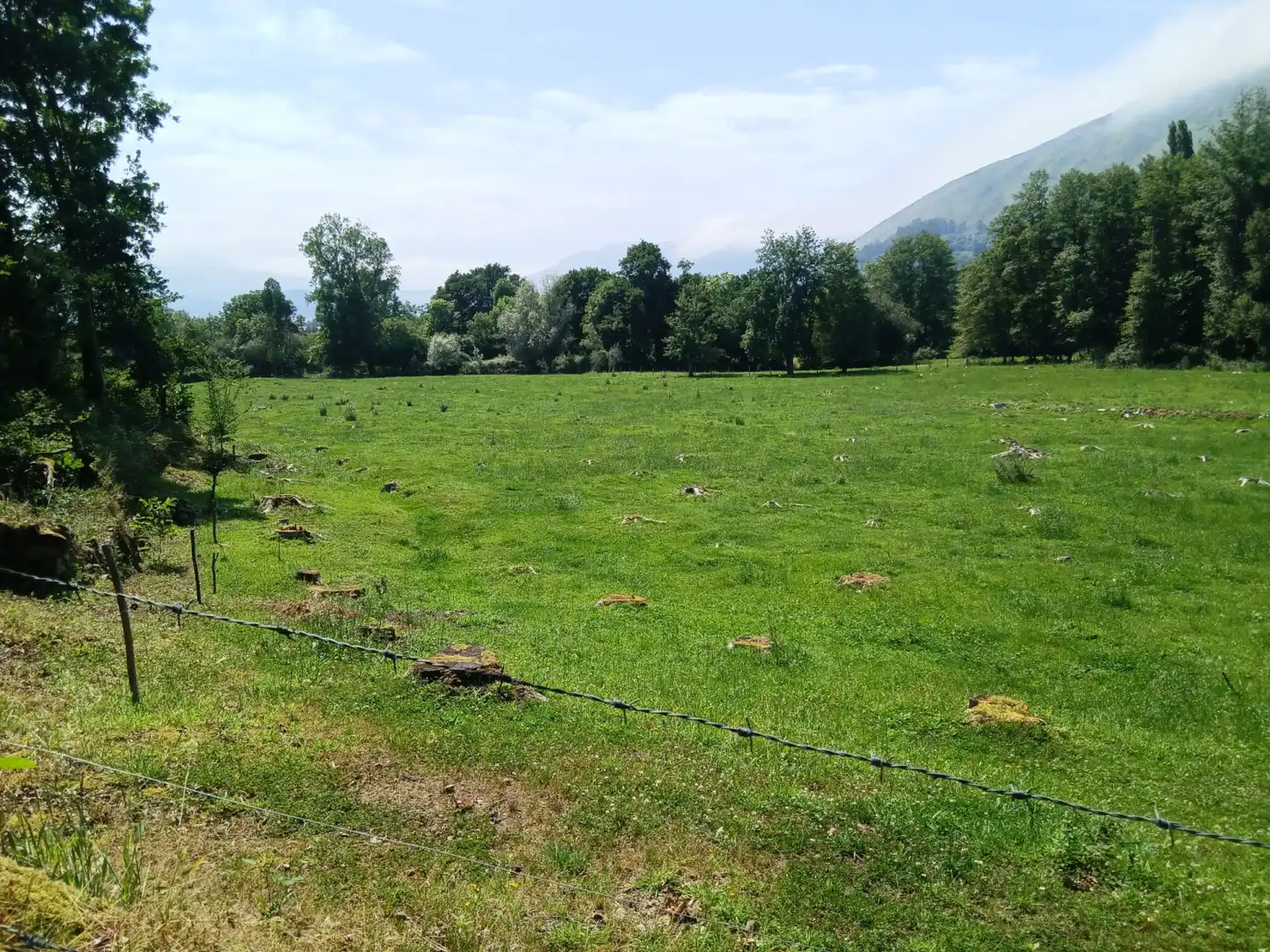 Terreni e lotti in vendita a San Felices de Buelna, imagen 8