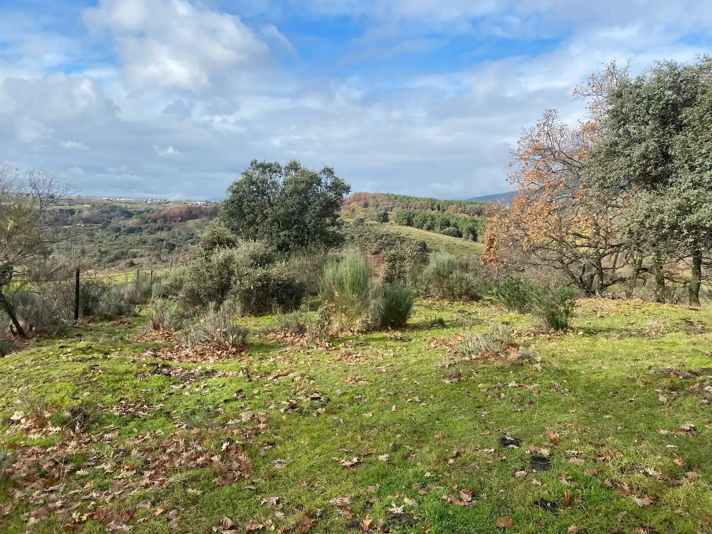 Maison à vendre à Candeleda, imagen 35