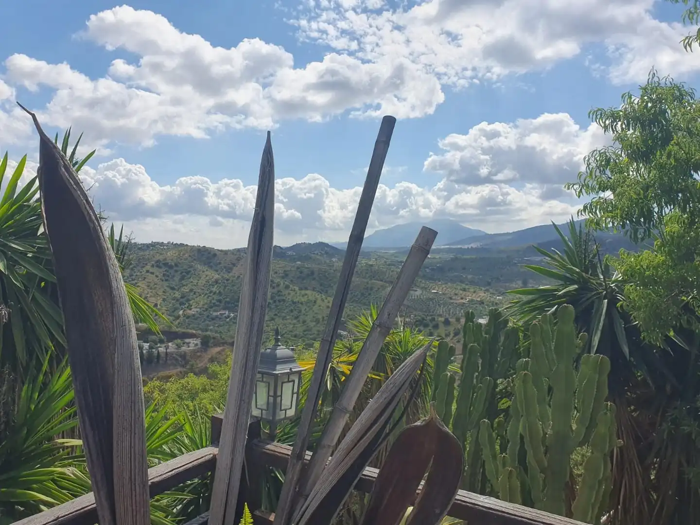 Country homes for sale in Monda