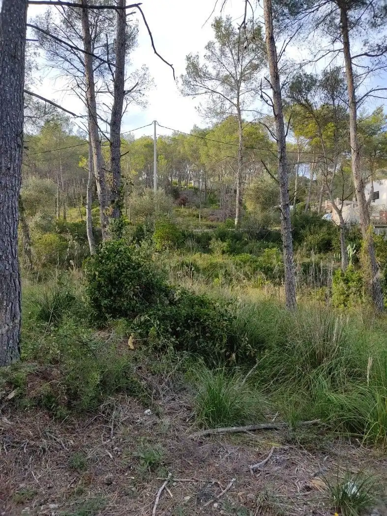 Terreno residenziale in vendita a Olivella, imagen 2