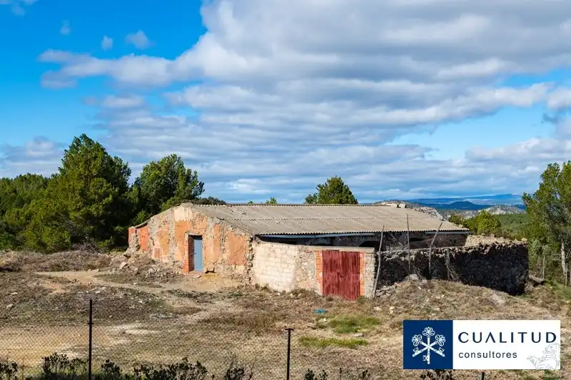 Land for sale in Torralba del Pinar