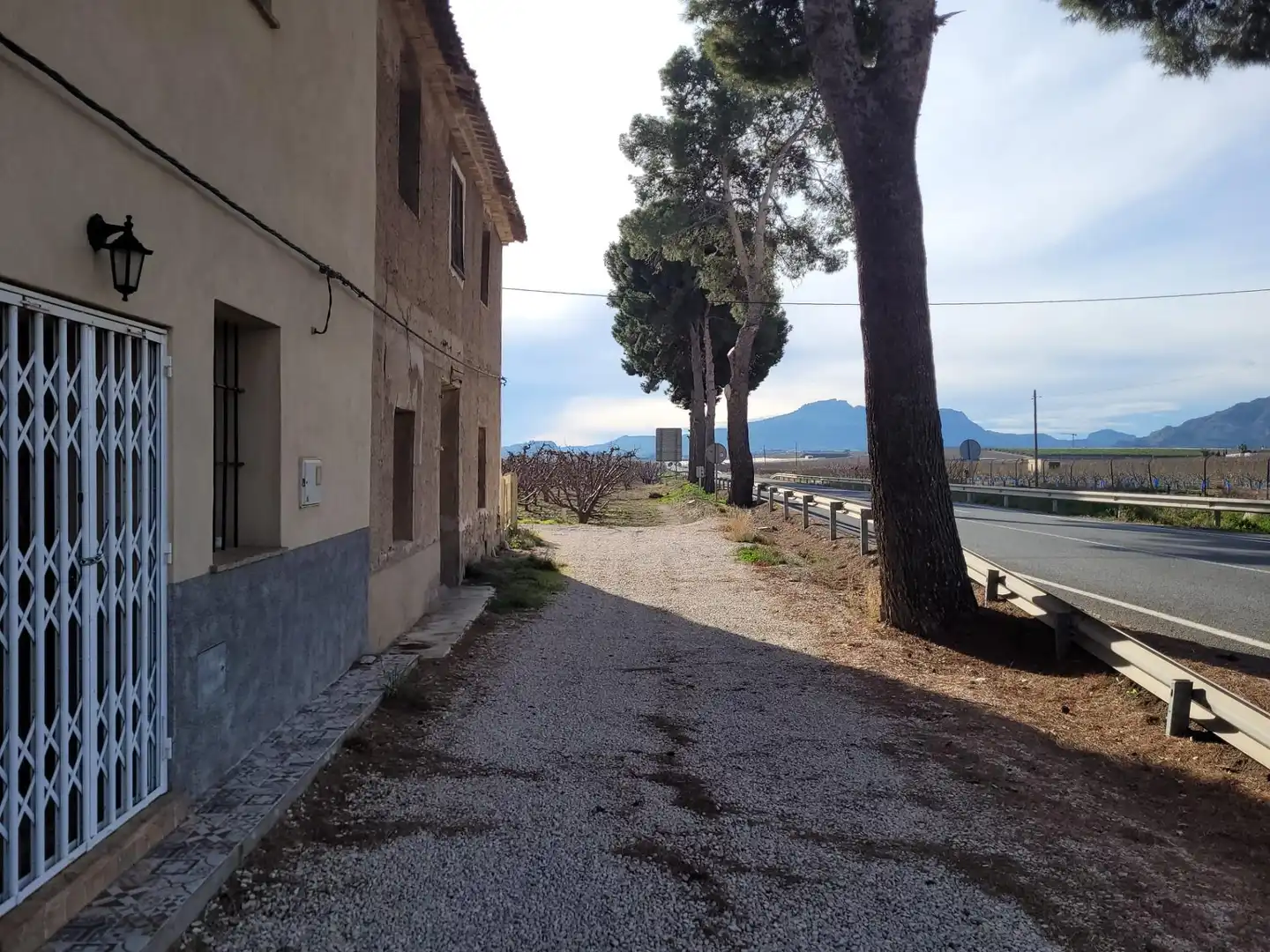 Vista exterior de Casa o xalet en venda en Blanca amb Jardí privat