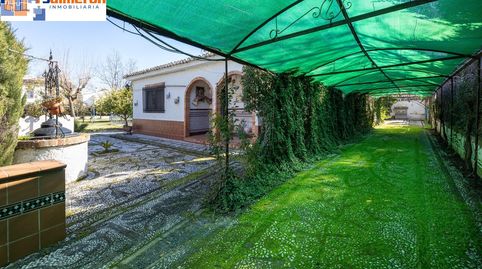 Foto 3 de Casa o chalet en venta en Calle Caño Palo, Ogíjares, Granada