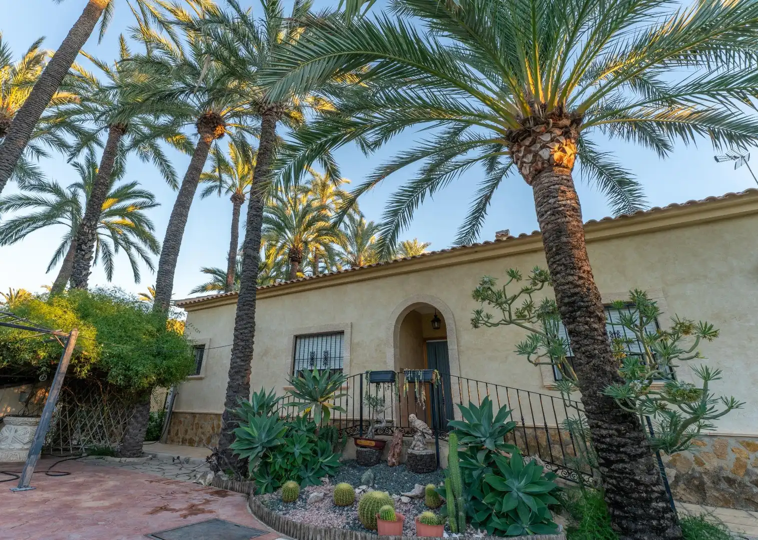 Vista exterior de Casa o chalet en venta en Elche / Elx con Aire acondicionado, Jardín privado y Terraza