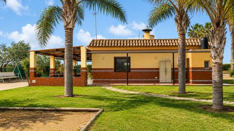 ¡¡¡PRECIOSA FINCA RÚSTICA DE RECREO CON CASA Y ÁRBOLES FRUTALES!!!, imatge 4