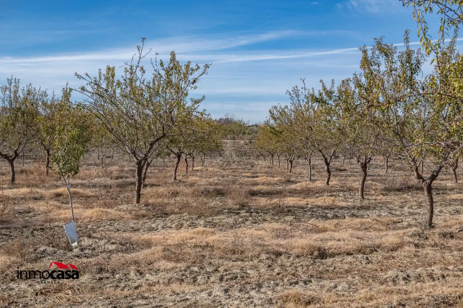 Terreno en venta en Guadix