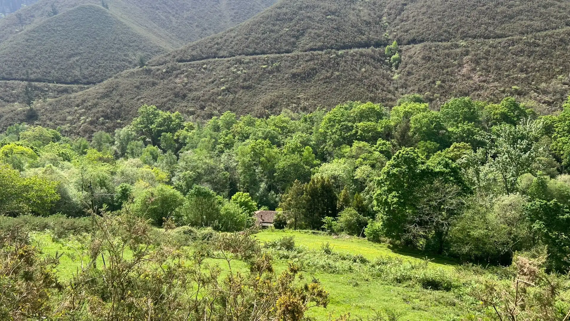 Casa o xalet en venda en Cangas de Onís amb Jardí privat