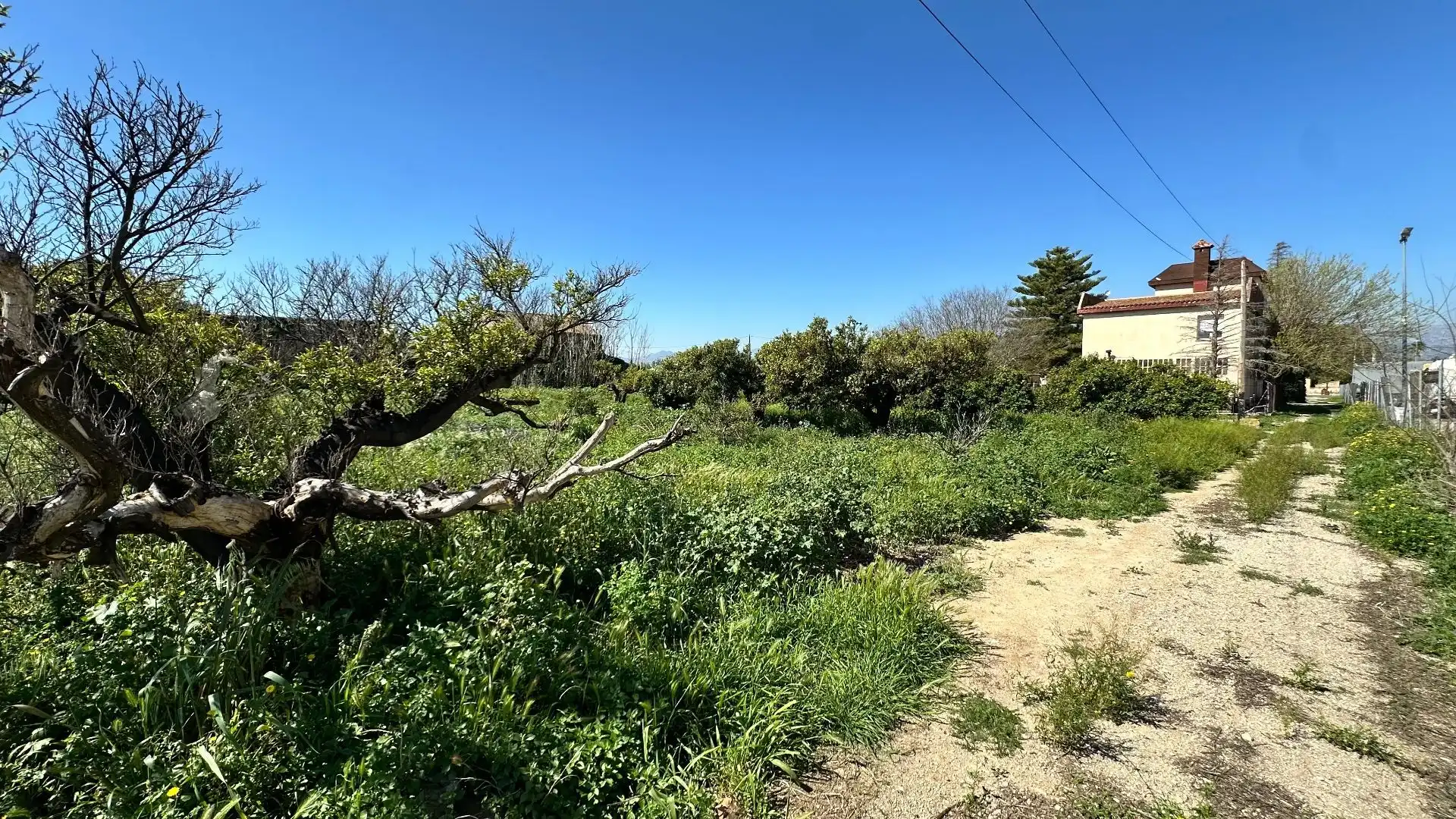 House for sale in Horta Sant Vicent, imagen 43