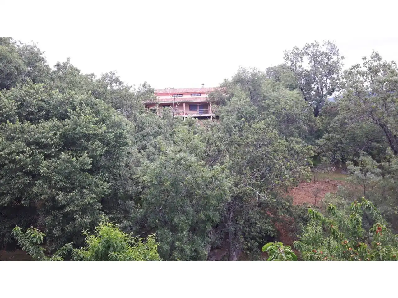 Chalet en venta en El Torno, imagen 26