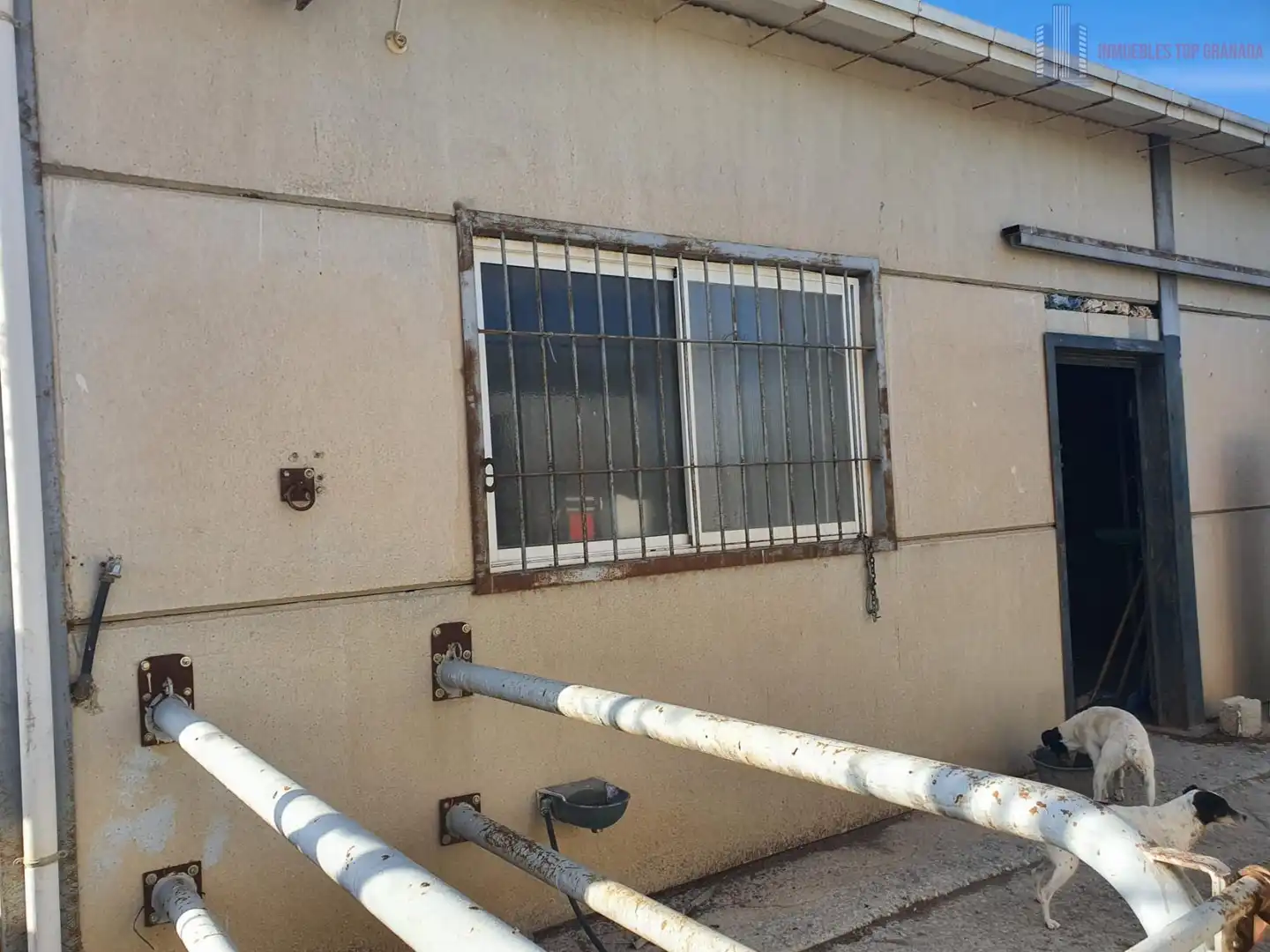 Casa rústica en venda a Residencial Triana - Barrio Alto, imagen 19