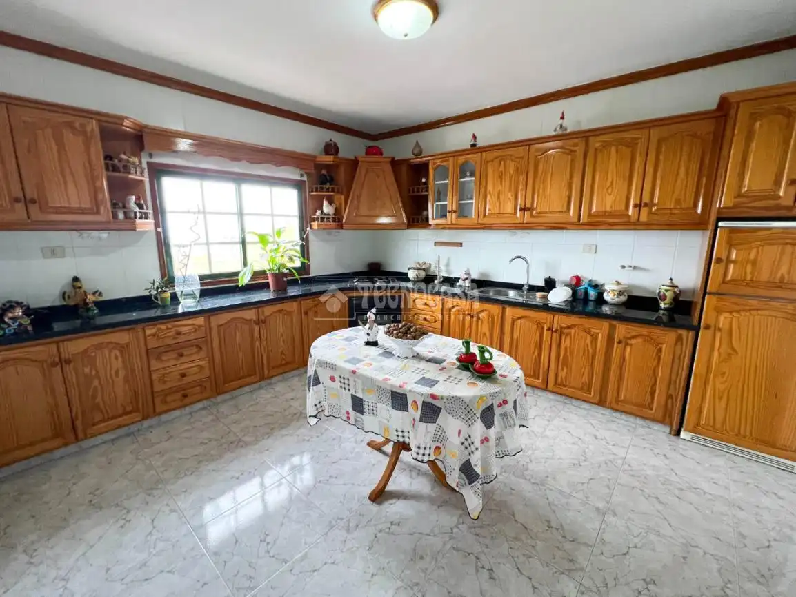House with terrace for sale in Palo Blanco, imagen 13