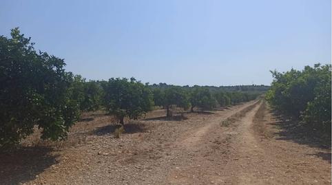 Photo 5 of Land for sale in Poligono Poligono 58 Parcela 56, Centro Comercial - Capsades -  Hospital, Vinaròs