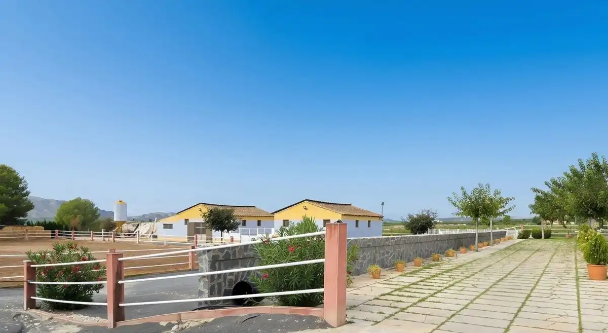Residential land for sale in RM-714, imagen 4