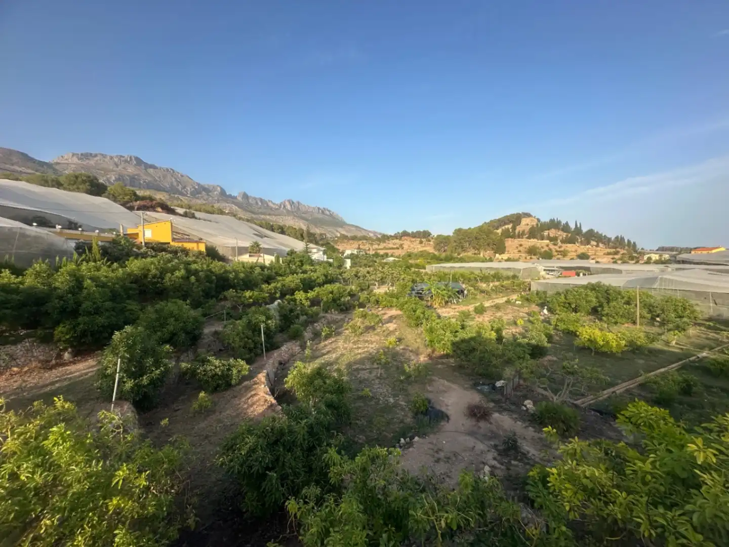 Finca rústica en venta en Callosa d'en Sarrià con Jardín privado, Terraza y Trastero