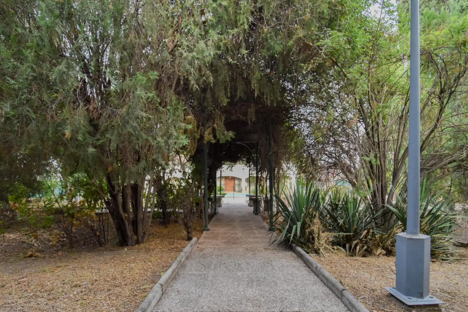 Xalet amb piscina en venda a Camino Viejo de Chimeneas #s/n #s/n #s/n #s/n #s/n, imagen 4