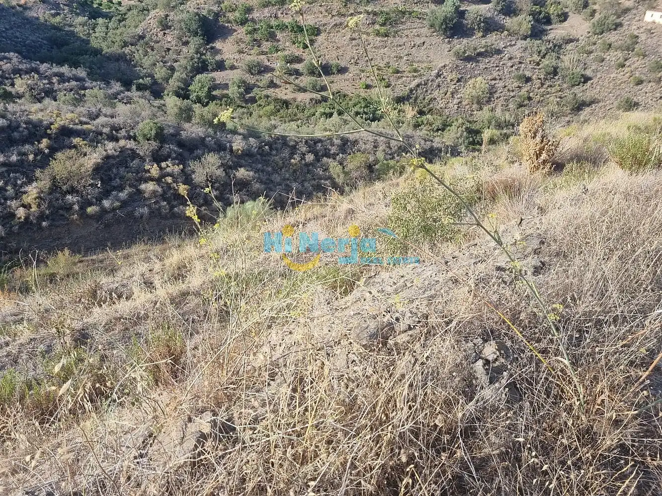 Maison à vendre à Torrox Pueblo, imagen 17