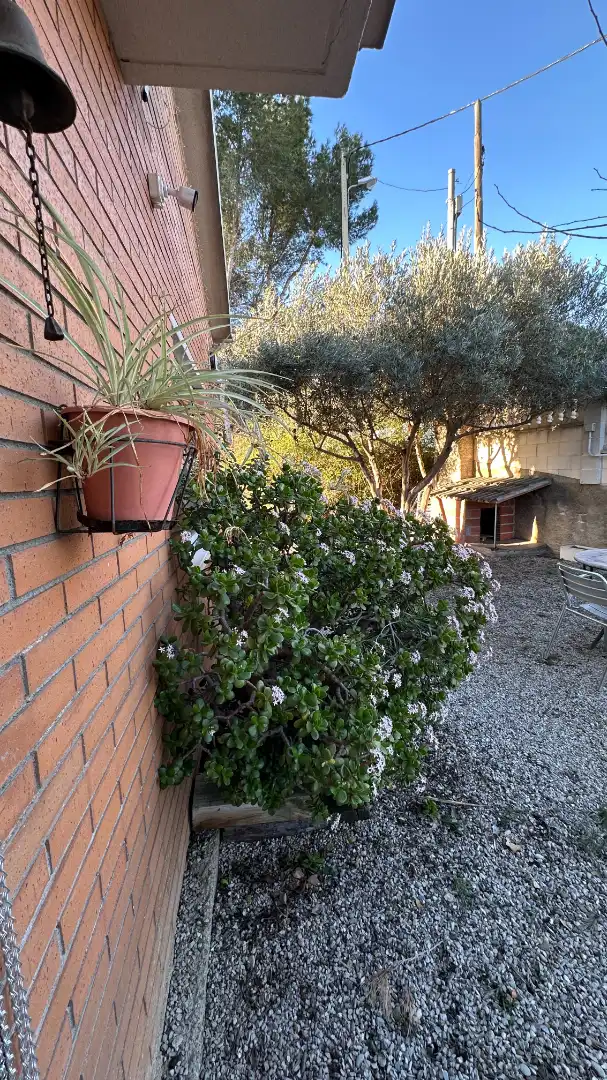 Jardí de Casa o xalet en venda en Rubí amb Aire condicionat, Calefacció i Jardí privat