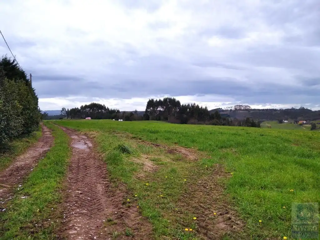 Grundstücke zum Verkauf in Carreño