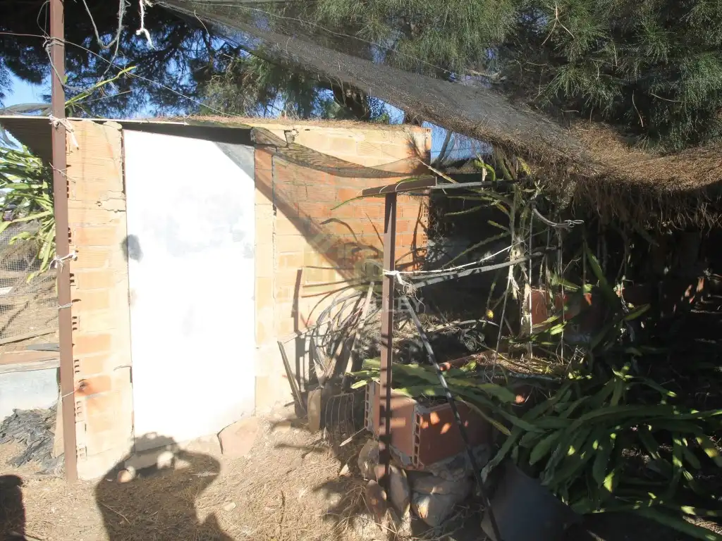 Jardín de Finca rústica en venta en La Alcaidesa