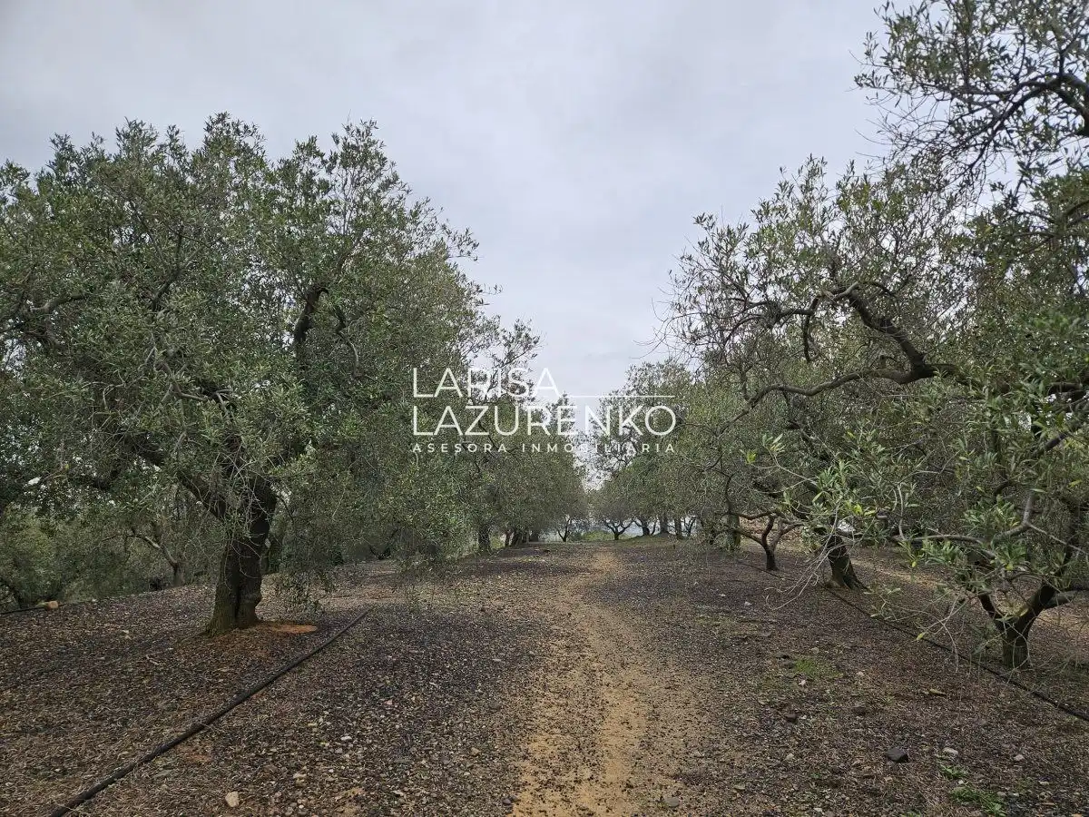 Finca rústica en venda en Riudoms