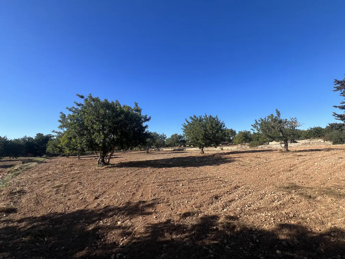 Country house zum Verkauf in Roda de Berà mit Klimaanlage, Heizung und Privatgarten
