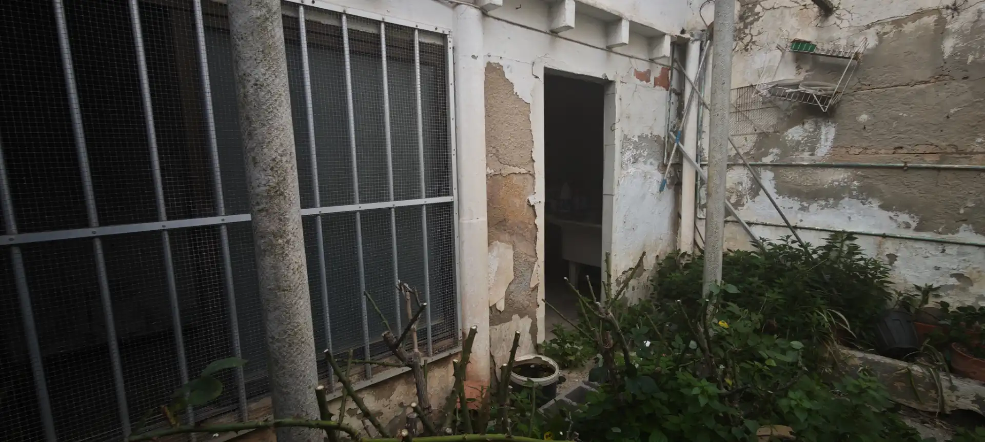 Vista exterior de Casa o chalet en venta en  Palma de Mallorca con Amueblado