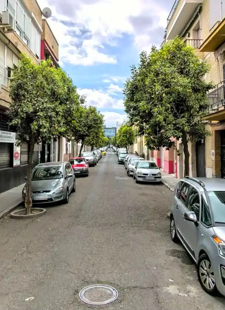 Exterior view of Houses for sale in Sevilla  with Terrace and Balcony