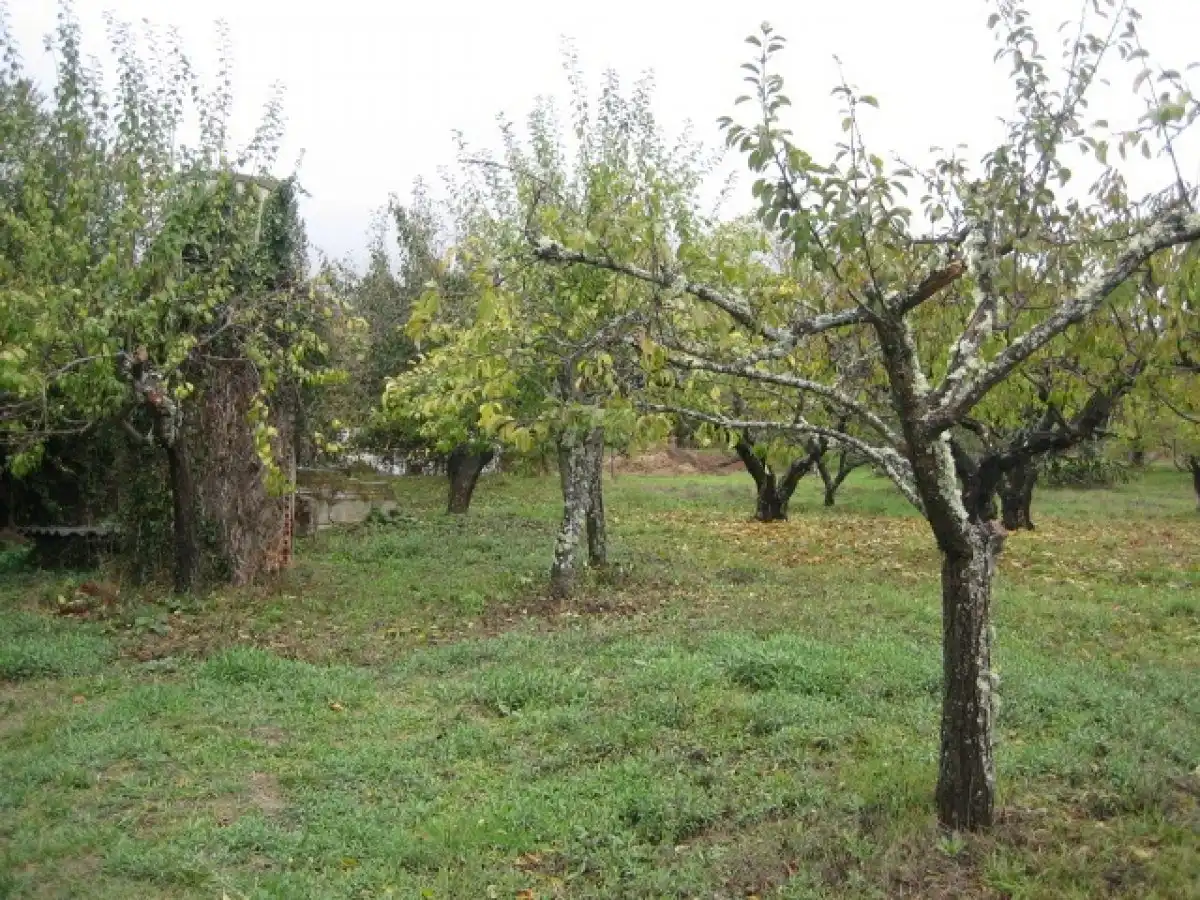 Casa o chalet en venta en Arganza