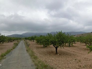 Terreno rustico in vendita a Campo de Murcia