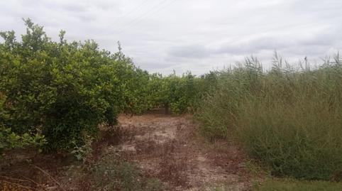 Foto 5 de Finca rústica en venda a Zeneta,  Murcia Capital