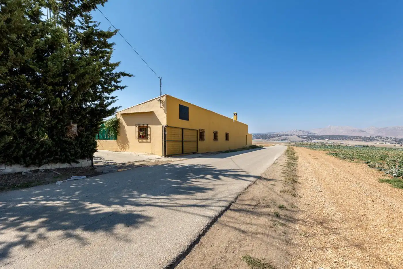 Vista exterior de Finca rústica en venta en Alhama de Granada con Aire acondicionado, Jardín privado y Terraza