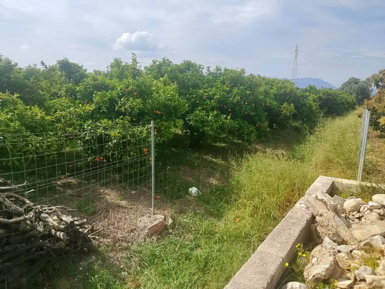Land for sale in Guardamar de la Safor