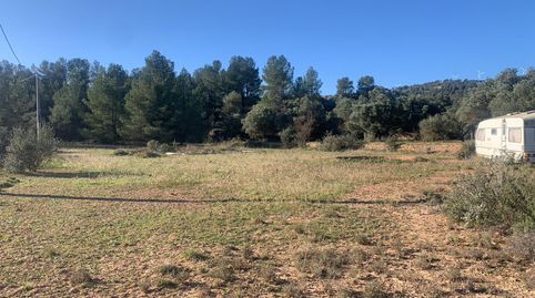 Asco - Parcela de terreno, media hectárea - buen acceso y bonitas vistas, immagine 3