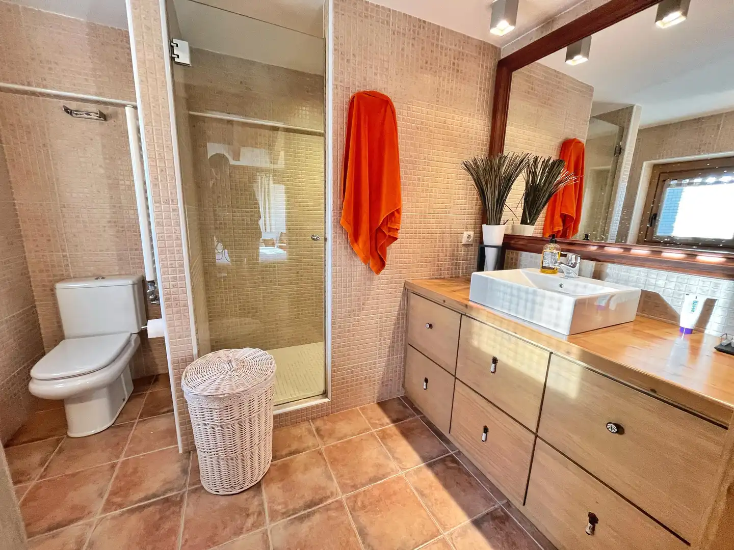 Baño de Casa o chalet en venta en Alp poble