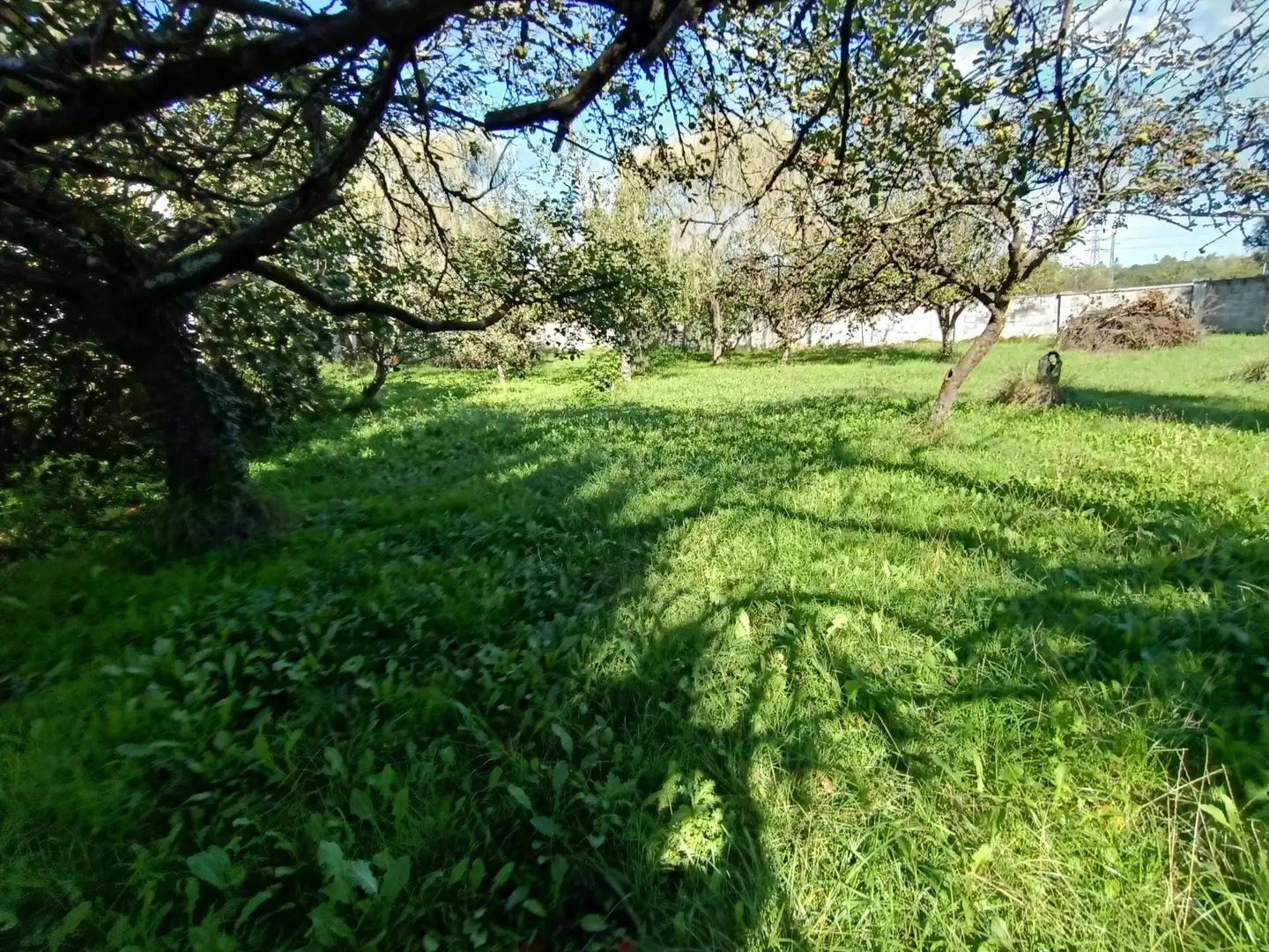 Residential land for sale in Calle Conde de Santa Barbara 31, imagen 19