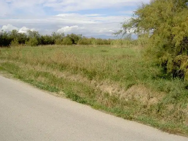 Rural land for sale in Sant Pere Pescador, imagen 57